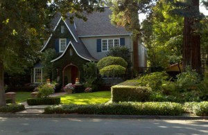 Beautiful Palo Alto